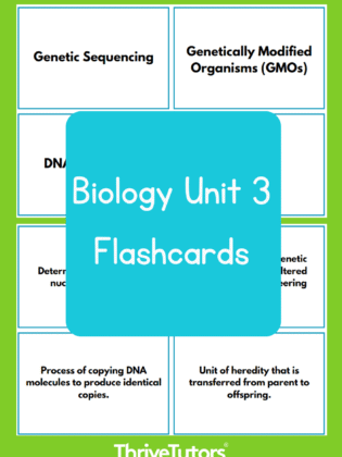 Biology Unit 3 Flashcards