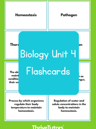 Biology Unit 4 Flashcards