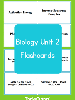 Biology Unit 2 Flashcards