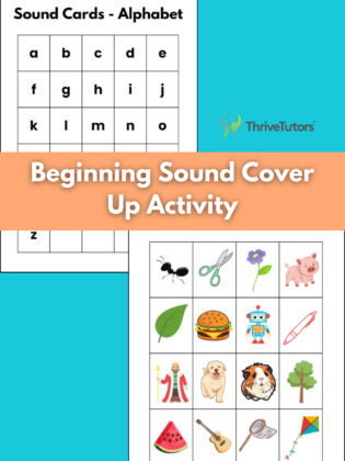 Beginning Sound Cover Up