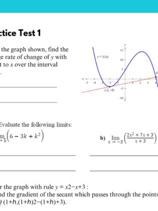 Year 11 Calculus Practice Exam